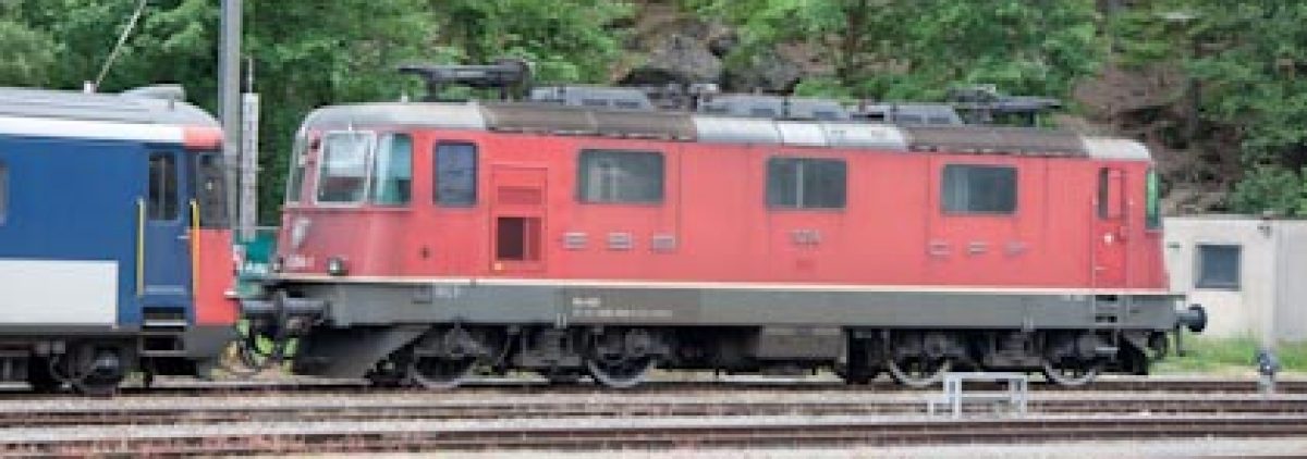 European Train Enthusiasts